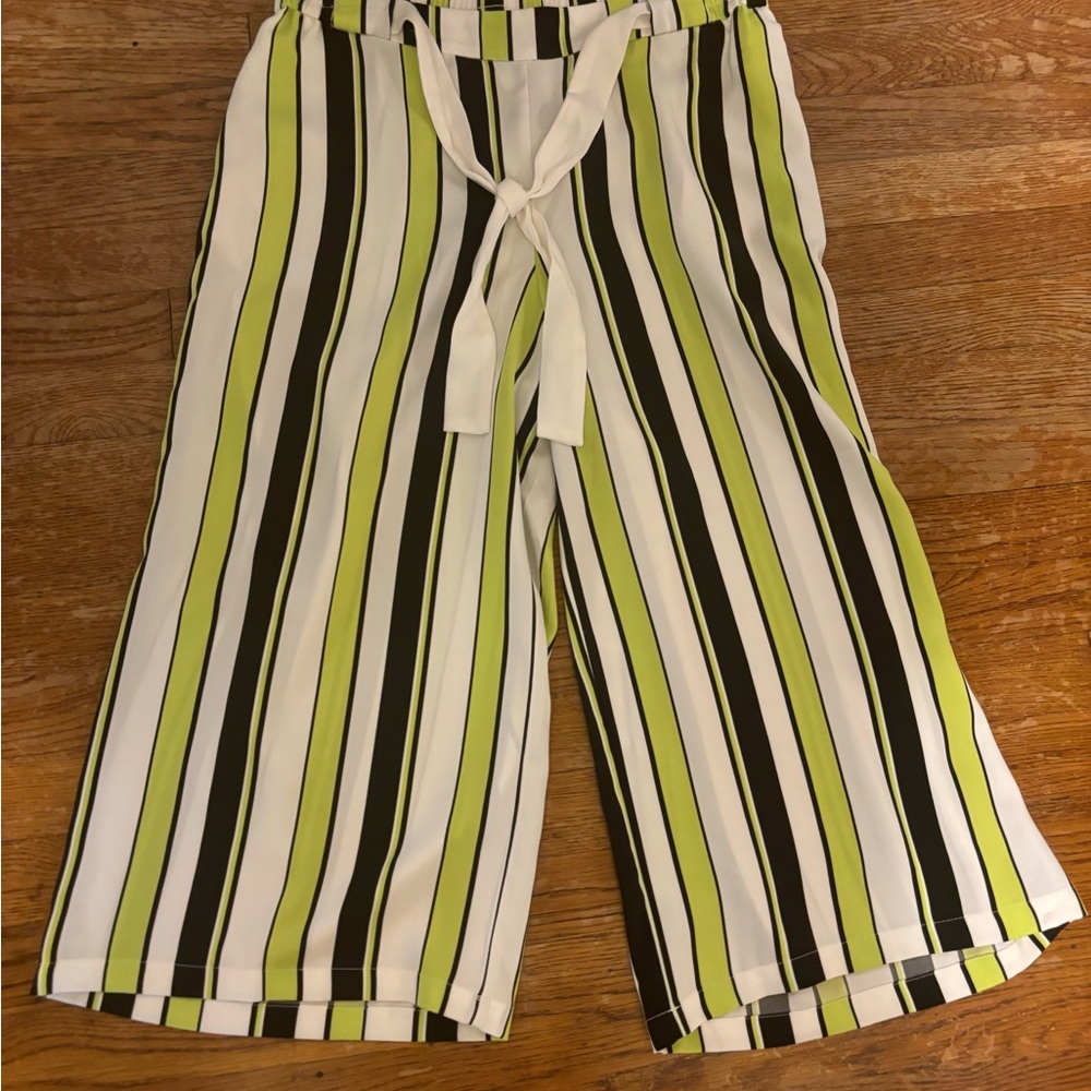 Cato brand pants